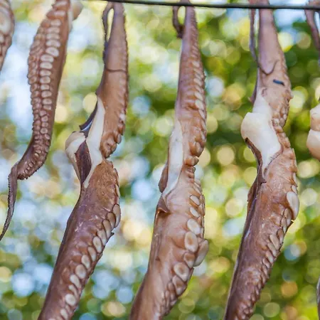 Amazing Naxos For 6 Modern Furnishings Naxos City